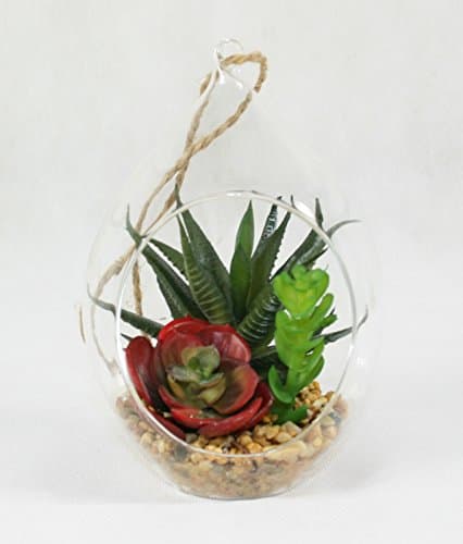 Mini Cactus in Glass Tear, Artificial Succulent Arrangement for Home & Office #1