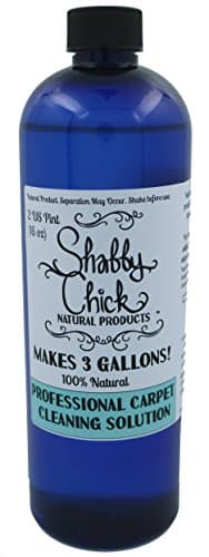 Shabby Chick All Natural Carpet Cleaner | Foam Free Pet Stain and Odor Remover. Kid, Baby, Pet Safe. Commercial Strength solution made with Essential Oils. Makes 3 Gallons