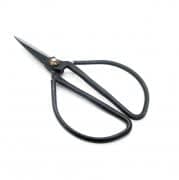 Pack of 10 Bonsai Tree Pruning Scissors