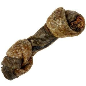 Snack 21 Salmon Skin Bones Dog Treats 3 Pack