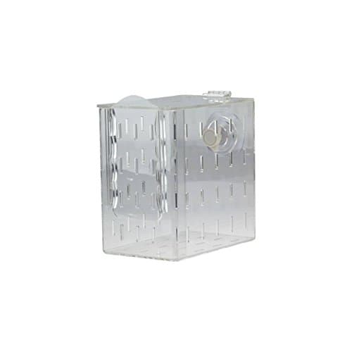 Seaside Aquatics RF100 Aquarium Acclimation/Breeding Box