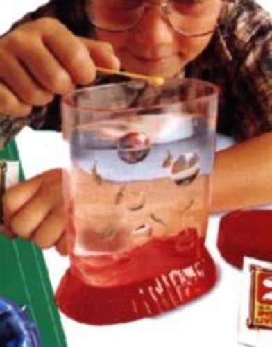 SCHYLLIN Sea Monkeys - Grow Live