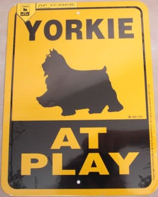 Yorkie Dog At Play Yard Sign