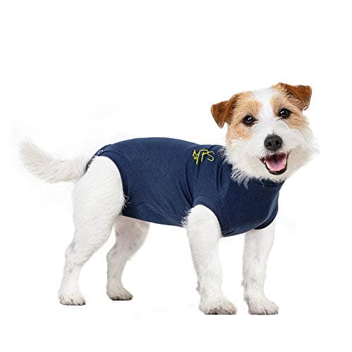 MPS Medical Pet Shirt Dog, Surgery Recovery Suit, Blue, XX-Small