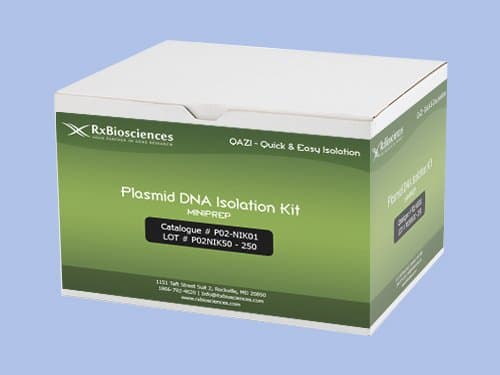 QAZIPlasmid DNA Isolation Kit, MINIPREP 50Prep, P02-NIK01-50