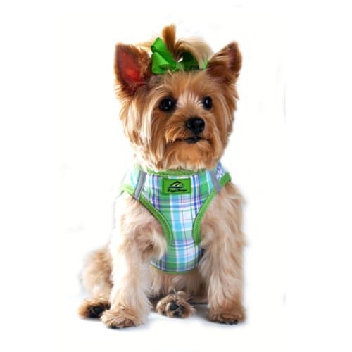 American River Ultra Choke Free Dog Harness -- Green and Turquoise Plaid (XXS)