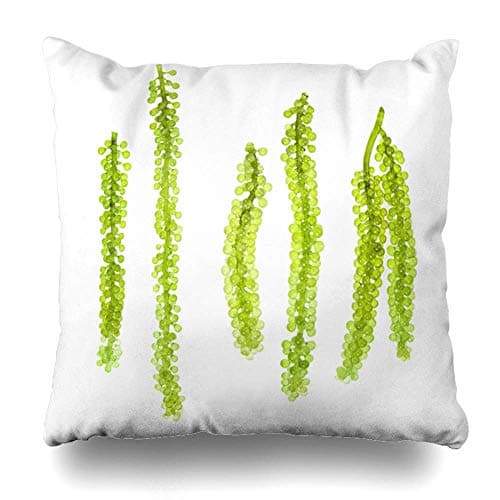 SPXUBZ Sea Grapes Green Caviar Seaweed on White Backgroun Cotton Throw Pillow Cover Home Decor Nice Gift Indoor Pillowcase Standar Size (Two Sides)