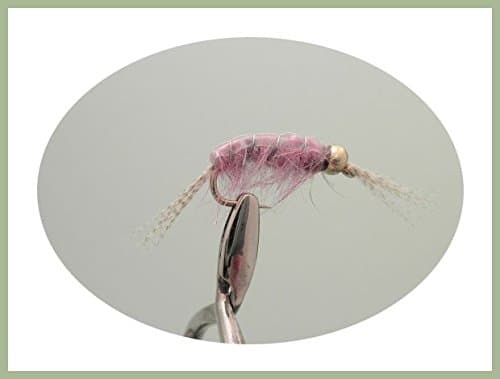 6 Pack of Goldhead Disco Shrimp Nymph Trout of Grayling Fishing Flies, Choice of Sizes
