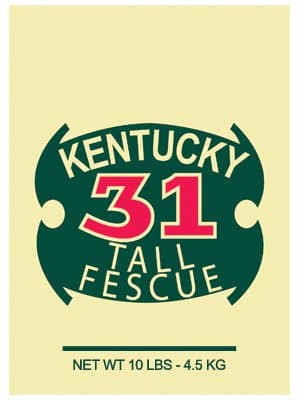 Fescue Grass Seed, 10-Lbs., Covers 1,250 Sq. Ft.