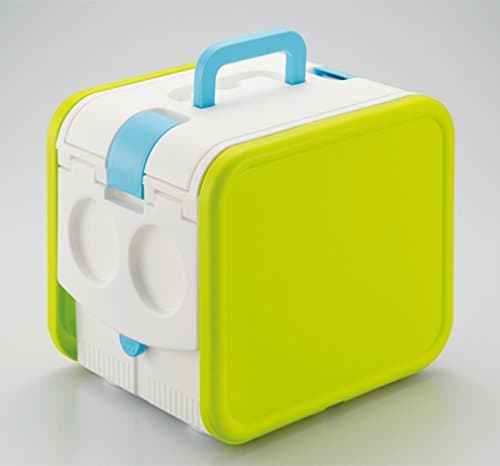 Wing Cooler Carry Cube Dish with PFW-36