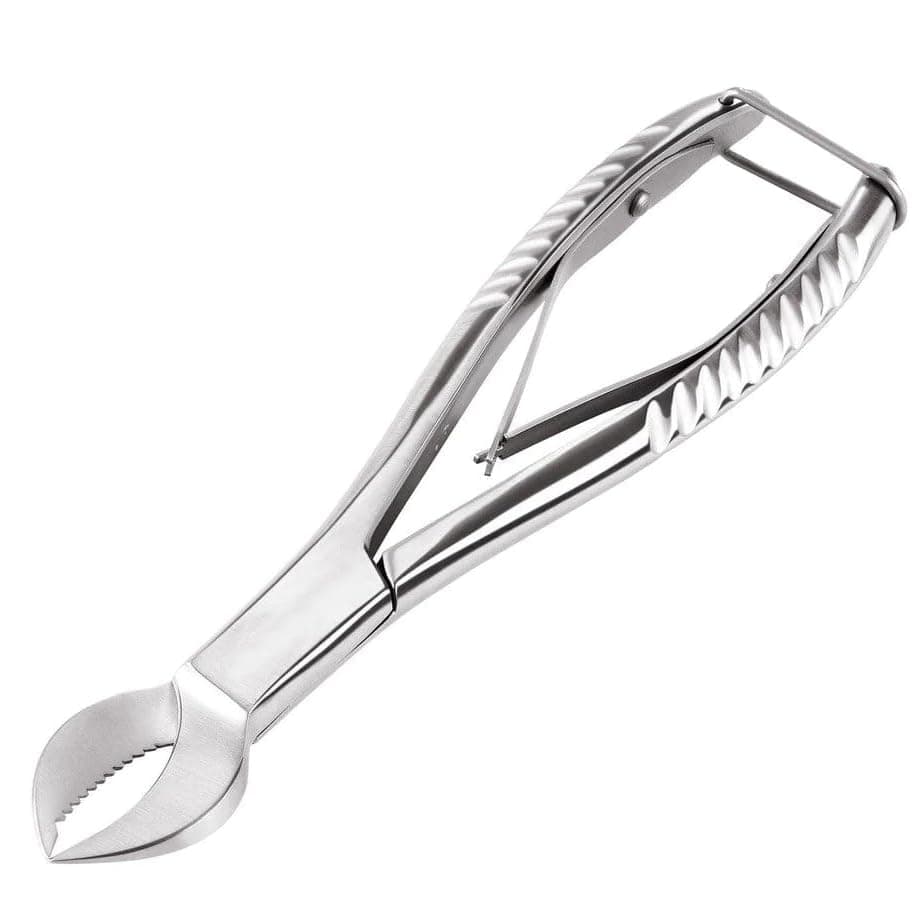 8" Heavy Duty Coral Cutter Circular Jaws Large Curved Blade Stainless Steel with lock MFC-01