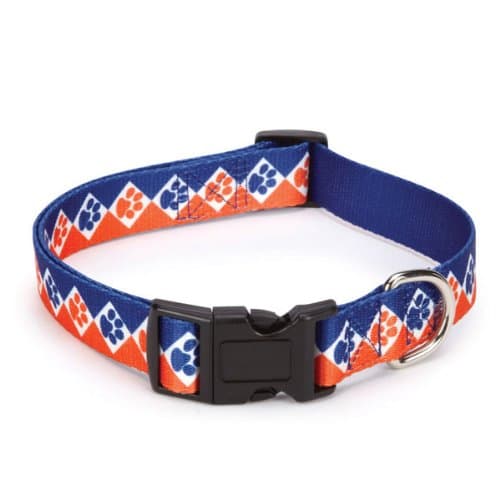 Casual Canine Polyester Collegiate Paws Dog Collar, 14-20-Inch, Blue/Orange