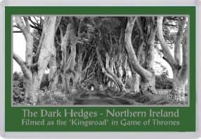 Scratch Labels Uk Dark Hedges Fridge Magnet (Game of Thrones Filming Location)