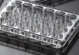 EarthOx Sterile Tissue Culture Plate 24 Well -Surface Treated (4 Plates)