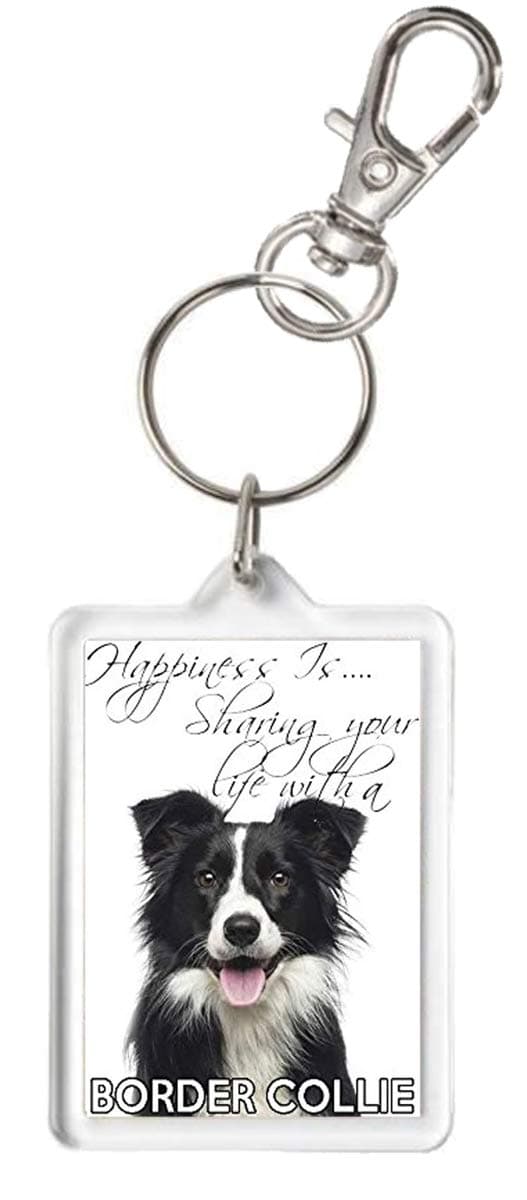 Border Collie Keyring, Happiness is Sharing Your Life with A Border Collie Keyring.