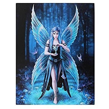 spirit of eqwuinox AS_36526 Canvas Plaque | Enchantment by Anne Stokes | H19 W25cm x D1.4cm | Pack of 1, multicolor