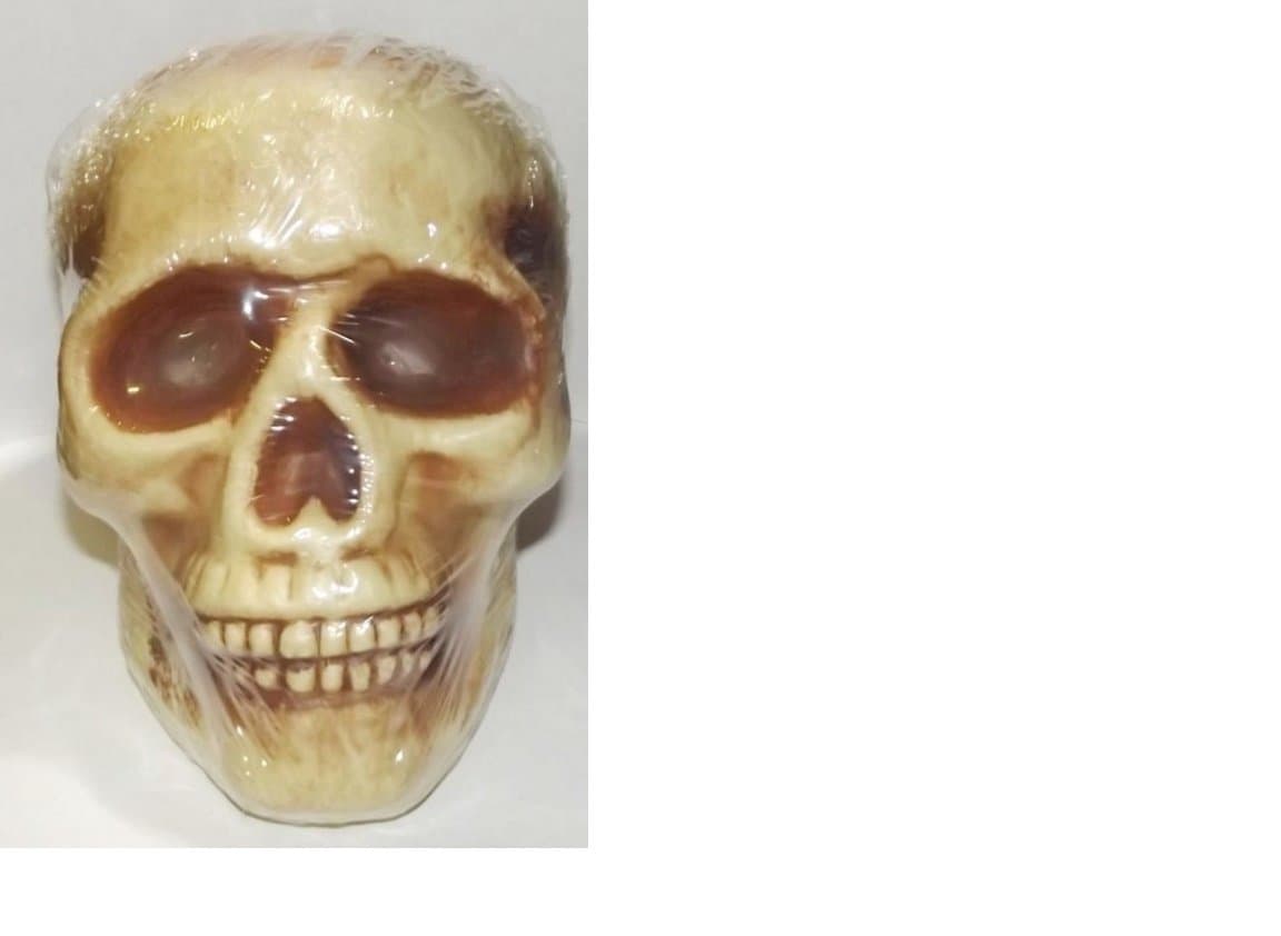 Realistic Plastic Skull-1 piece