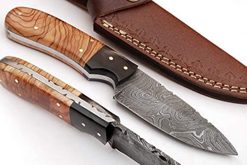 SharpWorld8 Inches Beautiful Damascus Skinner Knife Made Of Remarkable Damascus Steel Wood/Horn Handle/w Brown Leather Sheath TJ113