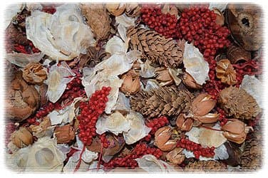 Coffee Potpourri
