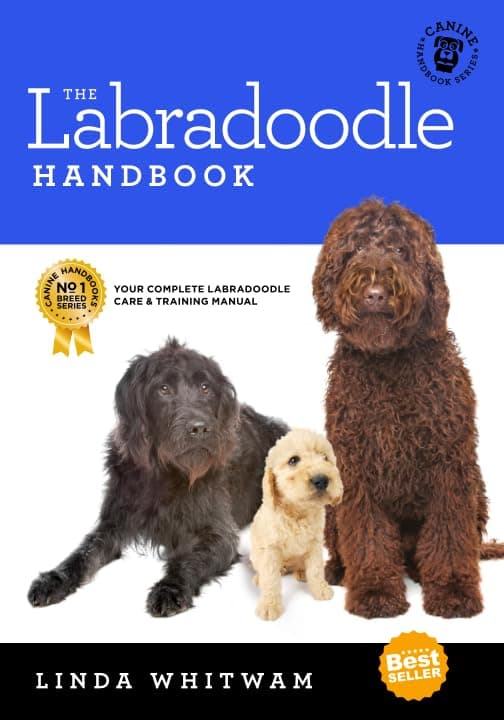 The Labradoodle Handbook (Canine Handbooks)