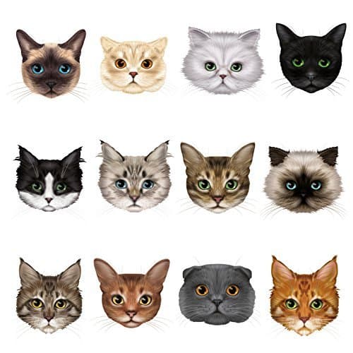Articlings 12 Cute Cat Face Window Clings 12 Different Breeds - Non-adhesive Stickers - Quickly Decorate and Brighten your Windows