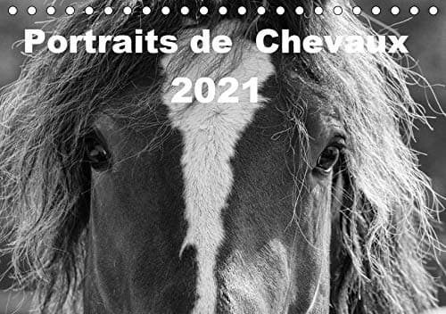 Portraits de Chevaux 2021 (Tischkalender 2021 DIN A5 quer): Pferdeporträts in Schwarz-Weiß (Monatskalender, 14 Seiten )