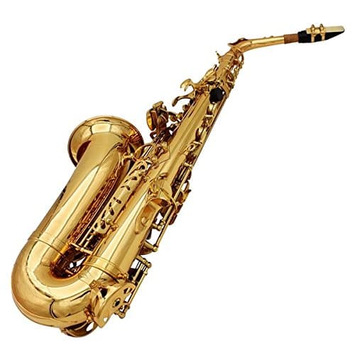 Lade Alto EB Golden Saxophone Sax Paint Gold with Case & Accessories