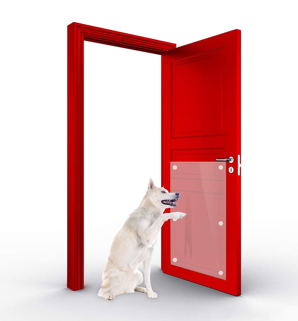 YA SHIN Door Scratch Protector ,Deluxe Pet Door Scratch Shield, Heavy Duty Flexible Door Guard Cover Protect Your Doors & Walls, Large Clear Door Scratch Protector cat scratch pad gmat non furniture