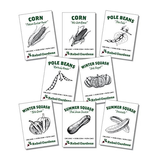 3 Sisters Garden - Organic Vegetable Seeds - Heirloom Non-GMO Beans Squash and Corn