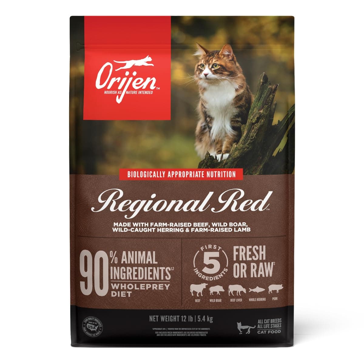 Cat Regional Red 340g - Grain Free Dry Cat Food