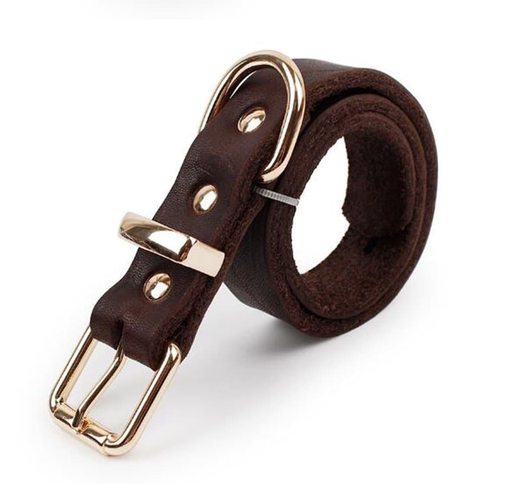 HungMeo Soft Touch Collars - Luxury Real Leather Padded Dog Collar, Leather Dog Collar, Supper Soft Distressed Leather- Premium Quality, Modern Stylish Look