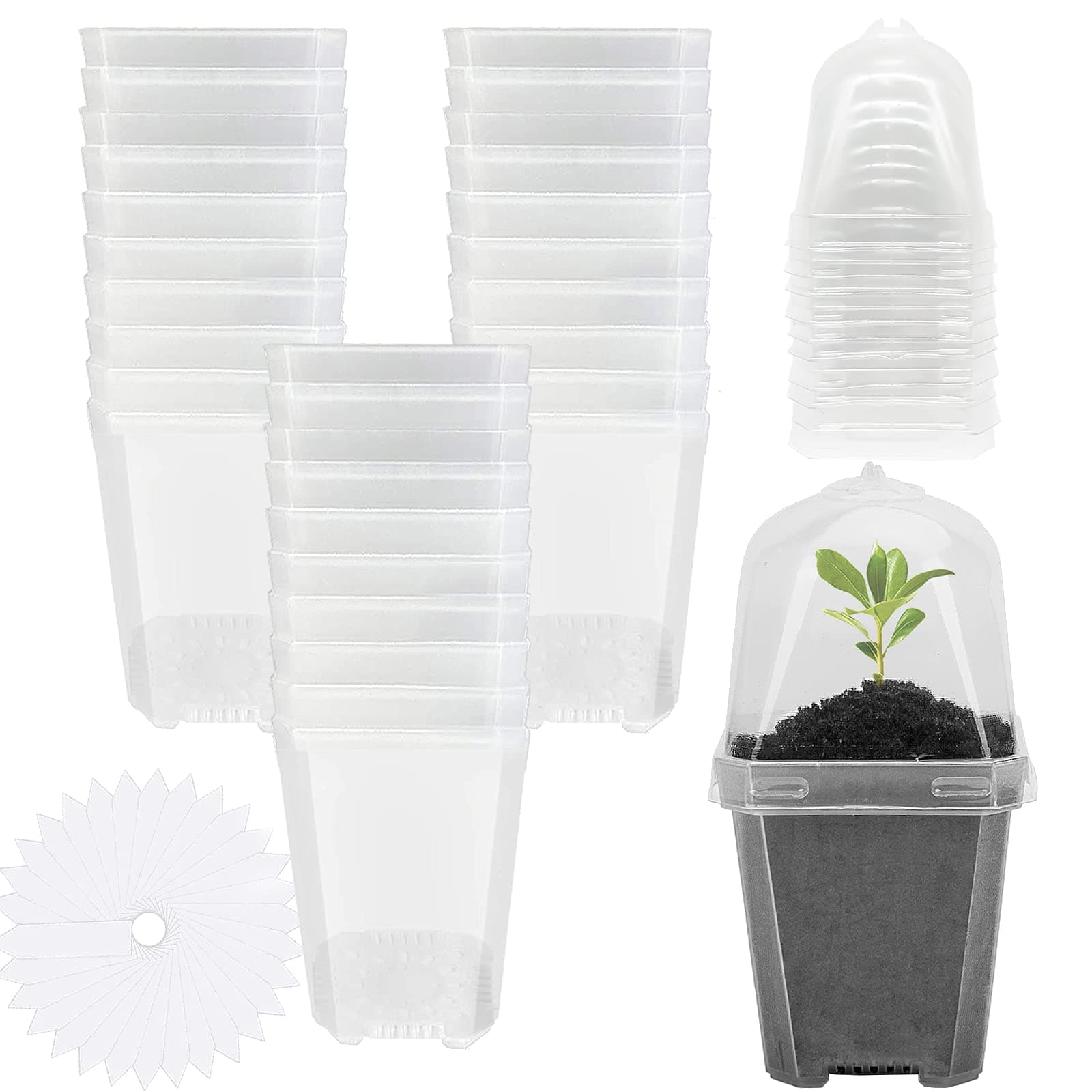 EBaokuup 30PCS Clear Plant Nursery Pots with Humidity Dome - 3" Durable Plastic Gardening Pot, Small Plant Container for Seedlings/Vegetables/Succulents/Cuttings