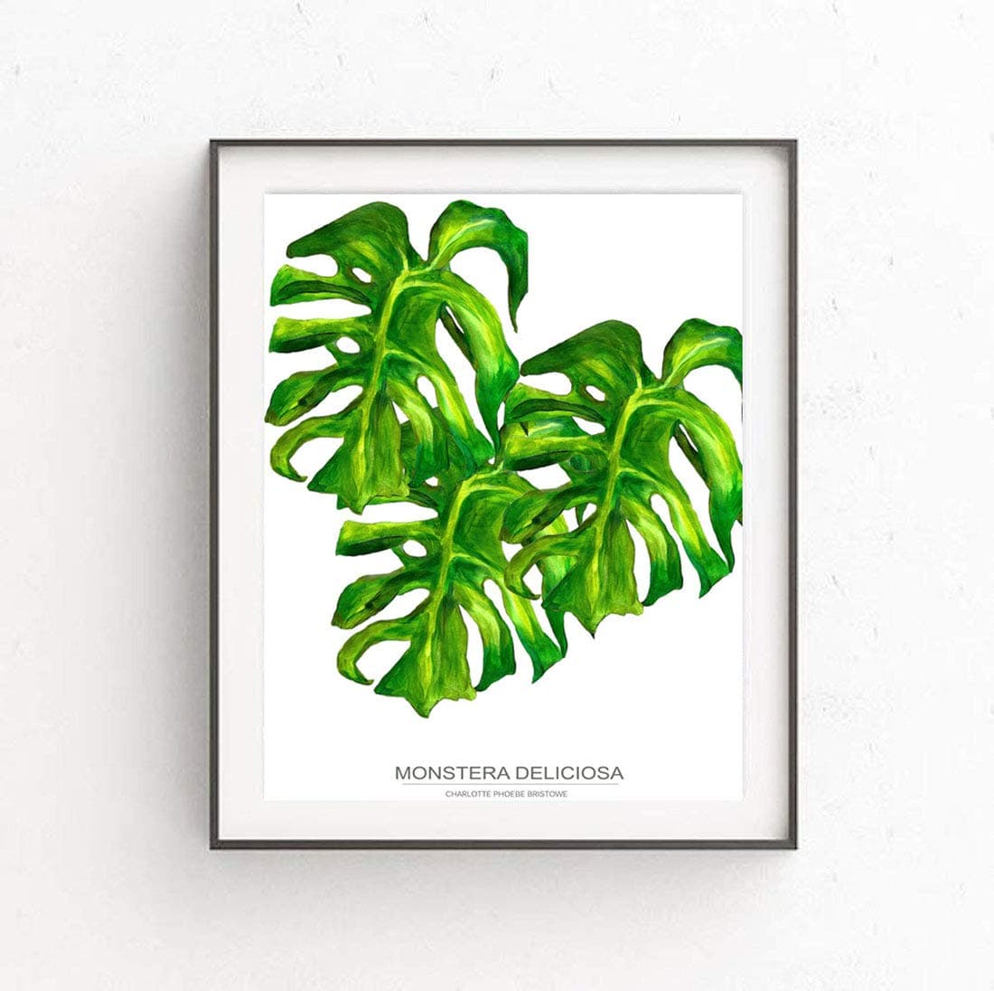 Charlotte Phoebe Premium A4 Botanical Art Original Print Monstera Deliciosa Swiss Cheese Plant Wall Art Acrylic Painted Picture Poster for Office, Kitchen or Bedroom.
