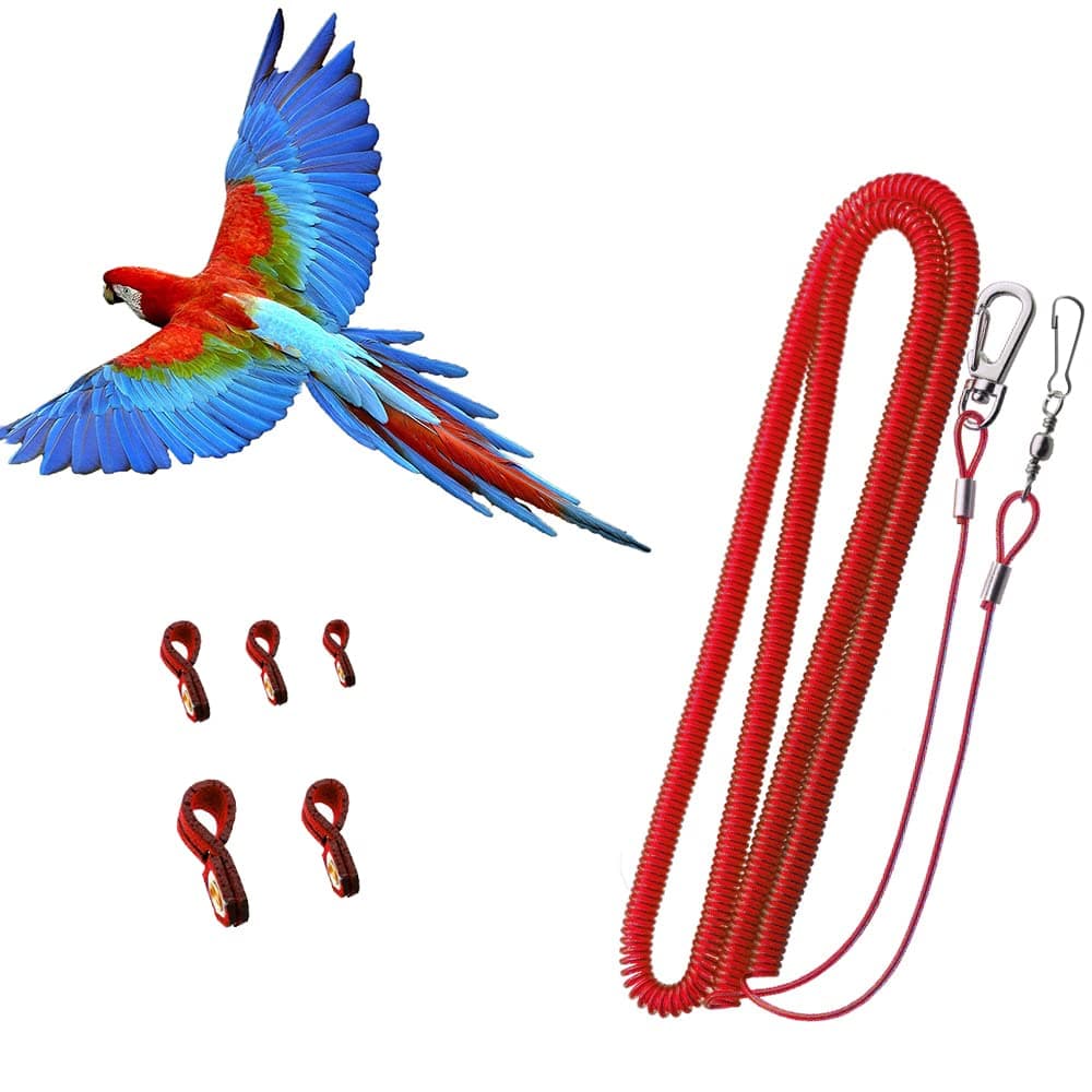 Bird Harness Leash Anti-bite Outdoor Red Flying Training Rope with 5pcs Different Sizes of Soft Foot Loops and Training Whistle(Upgraded Version of Ankle Ring)