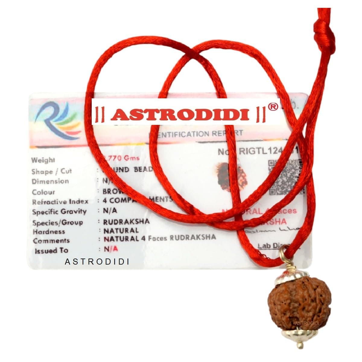 Rudraksha 4 Mukhi Nepali Pendant with Lab Report for Men and Women (Brown)