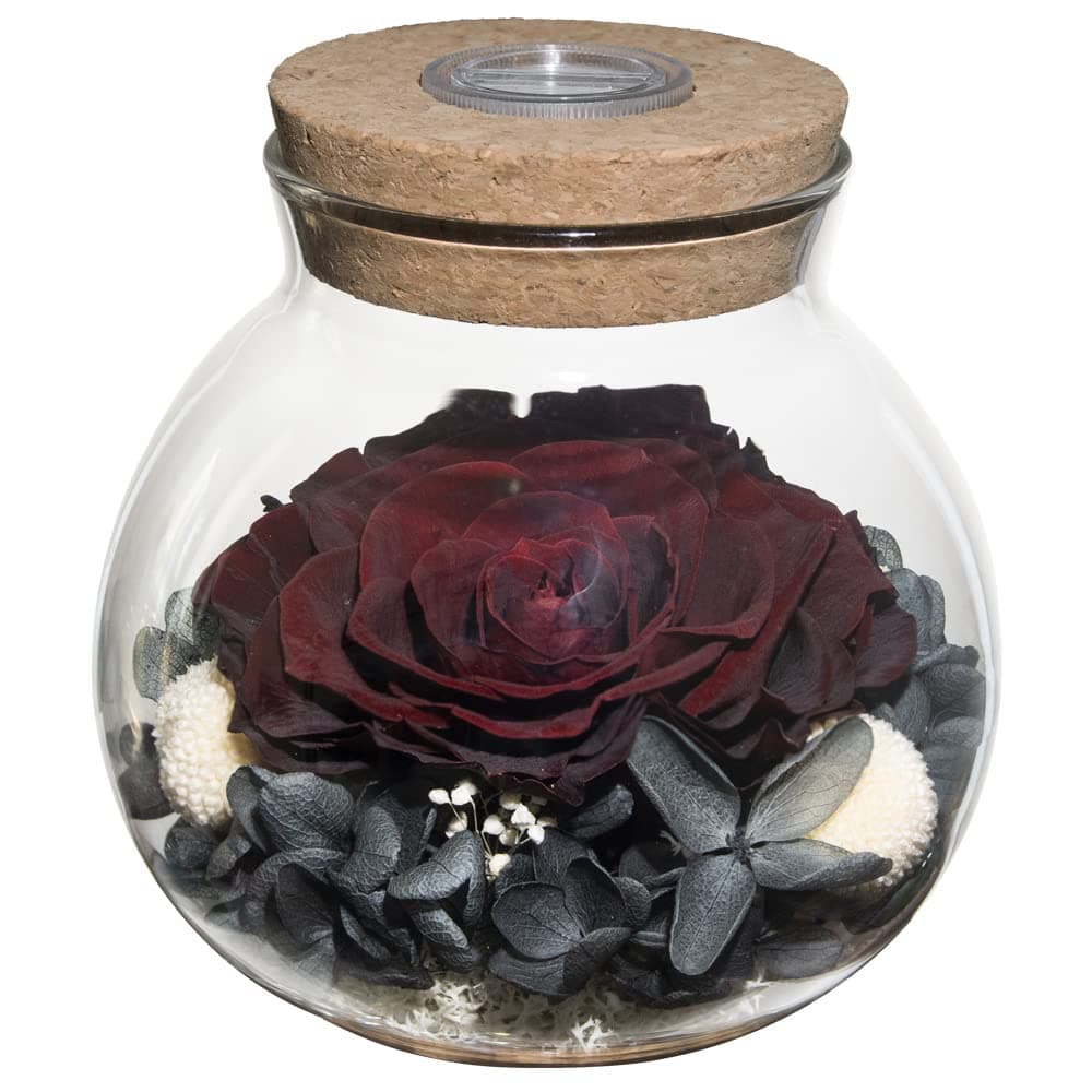 Preserved Real Roses with Colorful Mood Light Wishing Bottle,Eternal Rose，Never Withered Flowers,for Bedroom Party Table Decor, Anniversary,Valentine's,Mother's Day,a Gifts for Women (Burgundy)