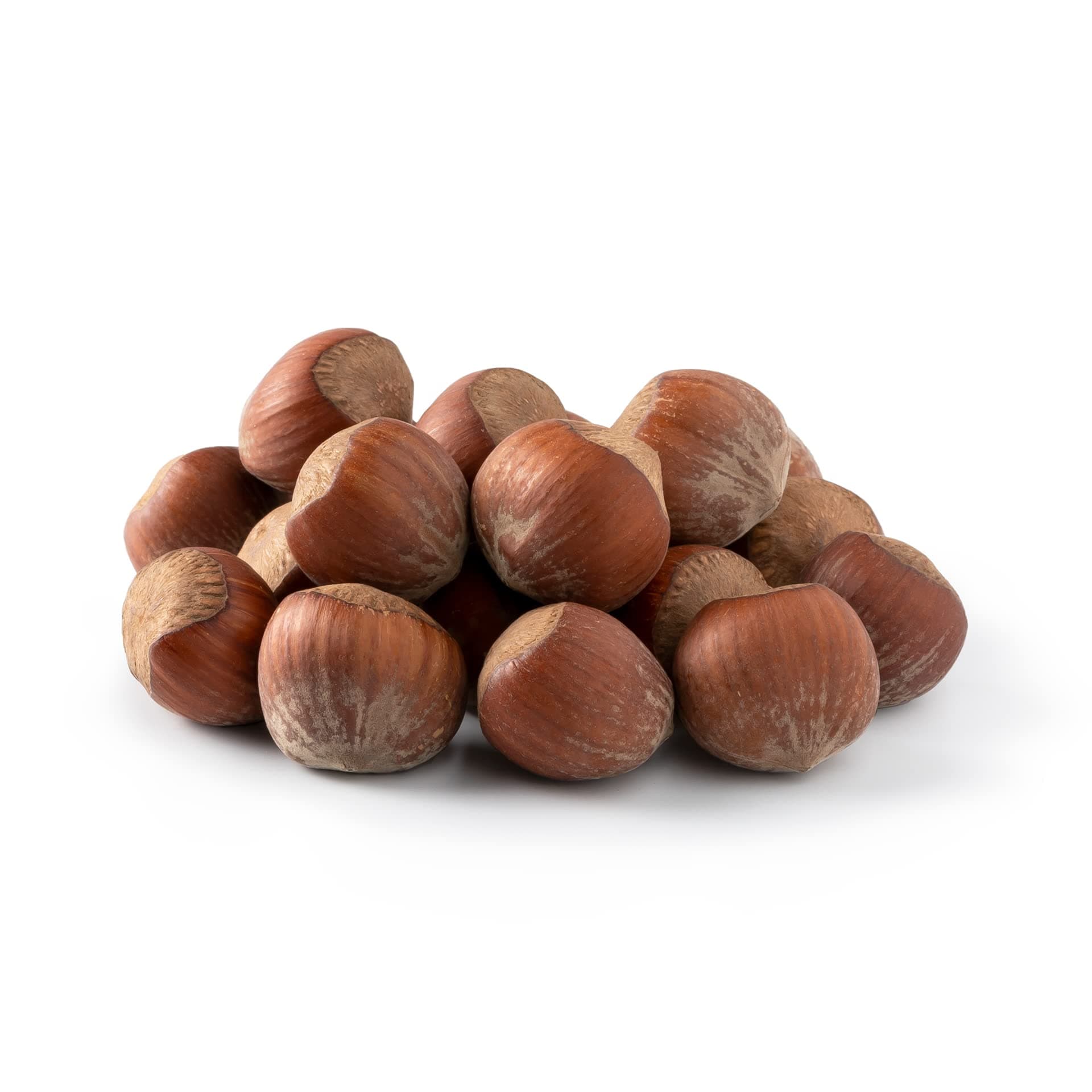 NUTS U.S. - Oregon Hazelnuts In shell | Whole, Raw and Unsalted | No Added Flavor and NON-GMO | Fresh Buttery Taste and Easy to Crack | Natural Unshelled Hazelnuts Packed in Resealable Bags!!! (2 LBS)