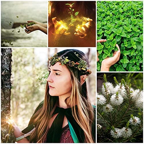 Elven Mystical Potion of healing dungeons and dragons kit,D and D Healing potion, 100% All natural Essential Oils, 8 oz. healing massage oil blend, 3 elven healing Stones included