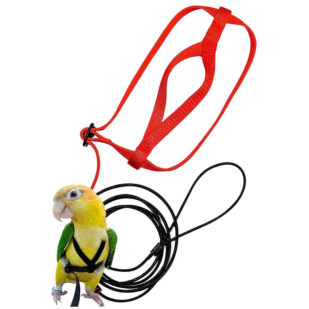 Pet Bird Harness and Leash Adjustable Flying Anti-bite Traction Rope Bird Training Outdoor Walk Carrying for Parakeet Cockatiel Reptile Lizar (XS)