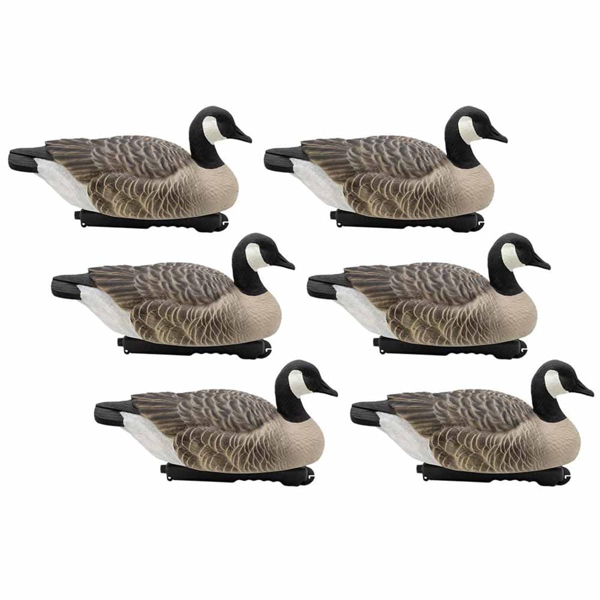 Last Pass Canada Goose Floater Decoys, 6 Pack