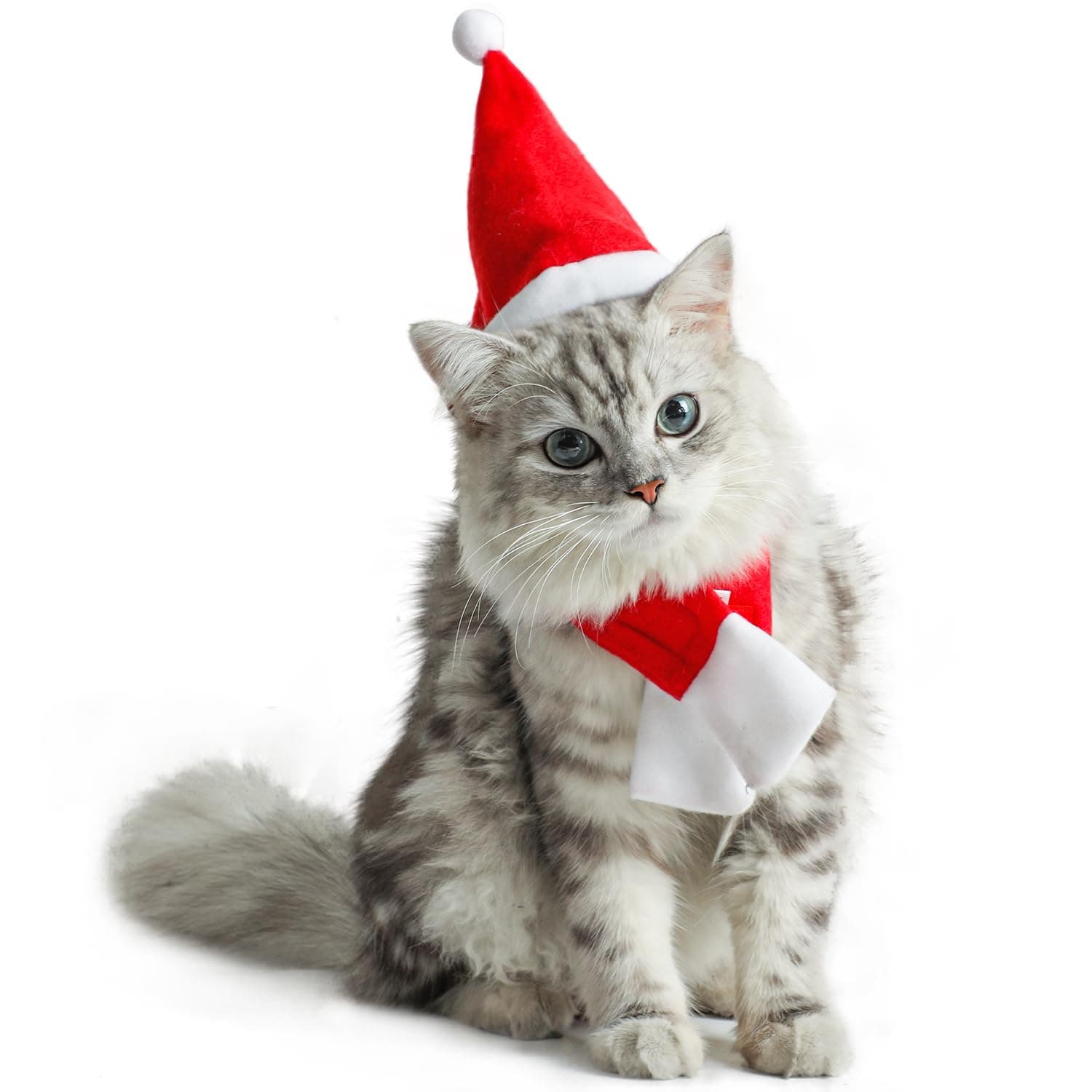 DIYASY Christmas Cat Santa Hat and Scarf，xmas Cat Hats with Scarf -Christmas Costume Set Puppy Kitten Cosplay Adjustable Costume Accessories for Small Pet Cat Dog