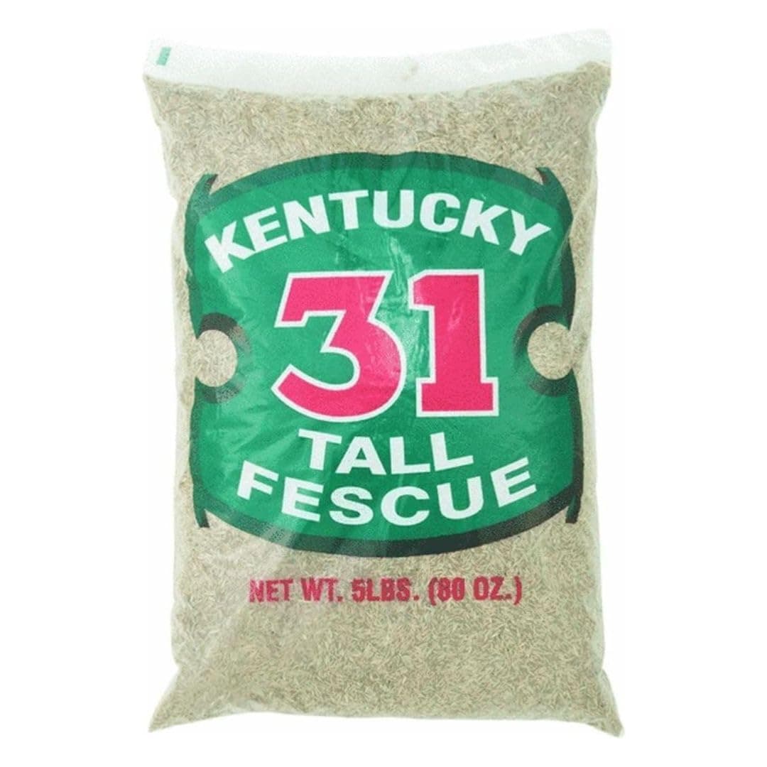 Barenbrug Tall Fescue Grass Seed 5 lb.