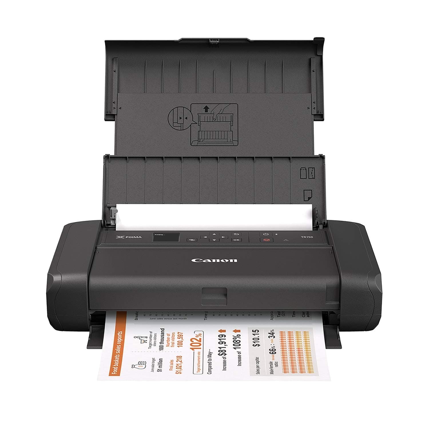 Canon PIXMA TR150 Portable Printer,Black