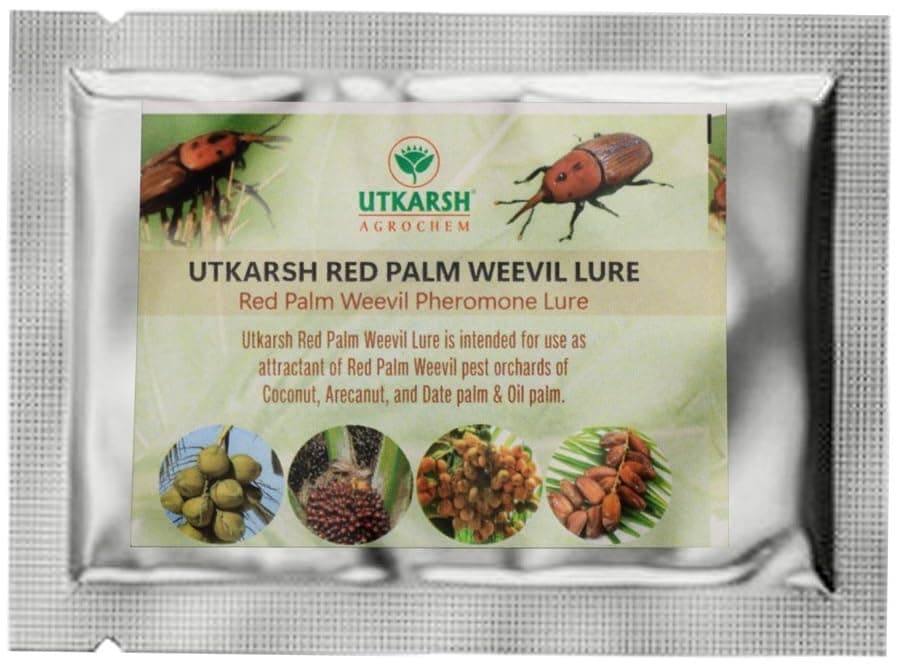 Utkarsh Red Palm Weevil Rhynchophorus Ferrugineus Pheromone Lure for Catching Insects of Red Palm Weevil in Coconut Palm, Date Palm, Oil Palm & Areca Nut Palm with RPW Magnet - 10 Lures