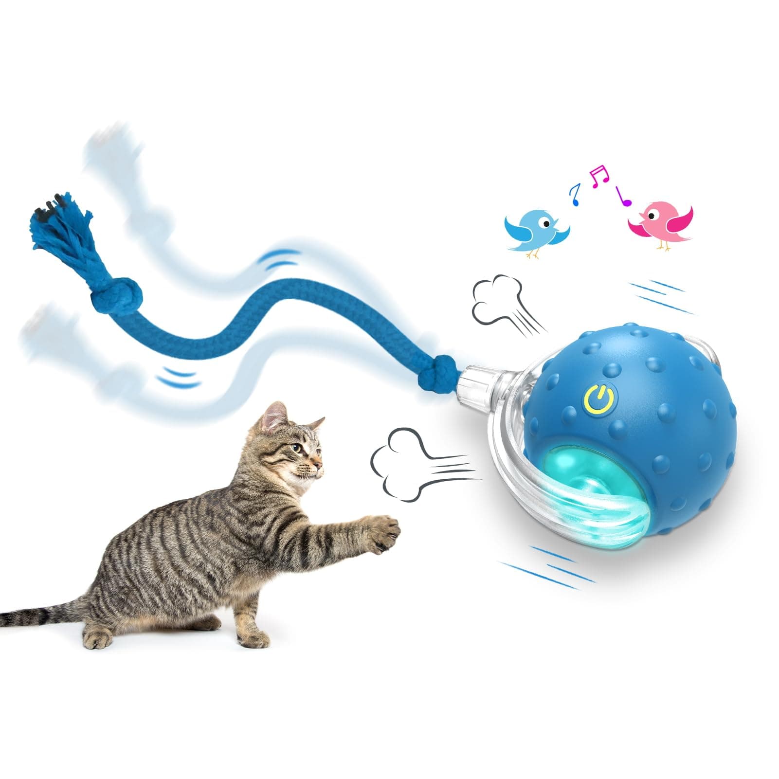 Interactive Cat Toys Ball for Indoor Cats Fast Rolling on Carpet, Chirping & Motion Activate Cat Toys (Blue)