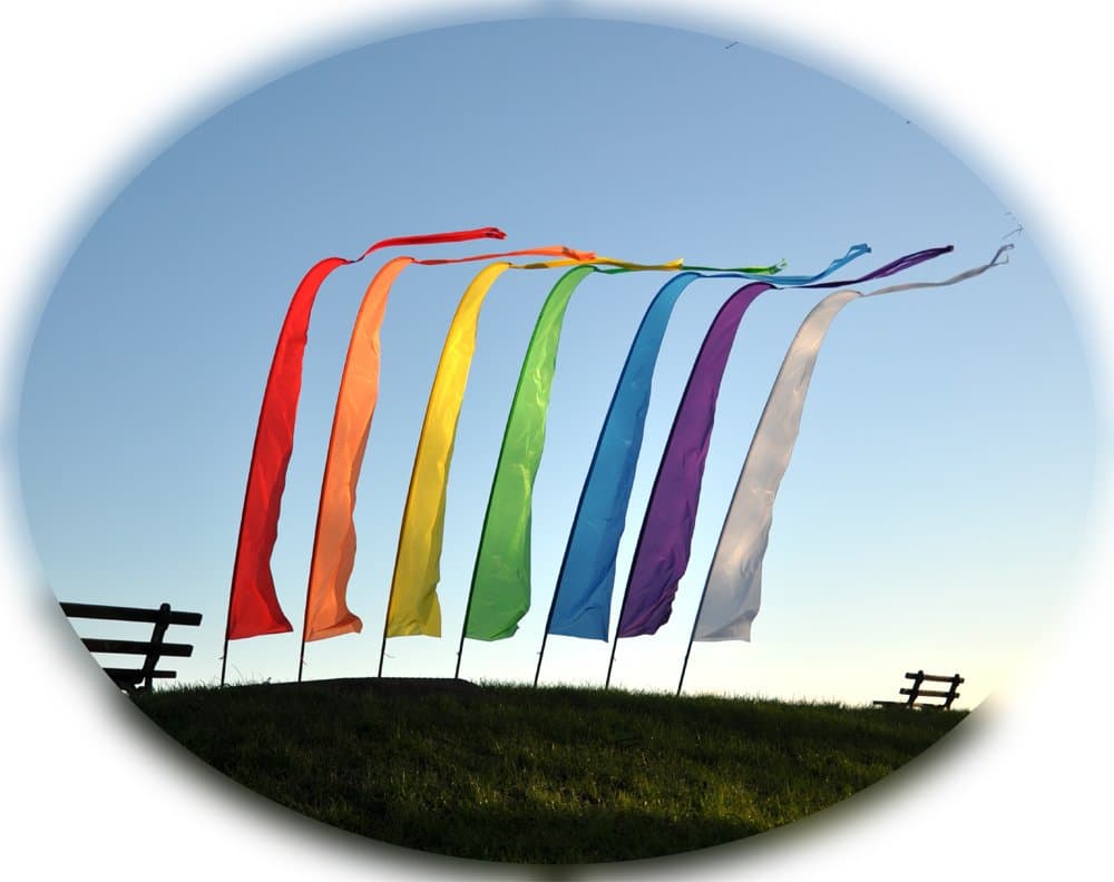 Festival Banner Kit - White 3.75m