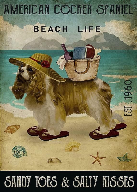 American Cocker Spaniel Life Sandy Toes Salty Kissesretro Sign Fun Home Art Wall Decor Metal Aluminum Signage Rustic Bar Cafe Kitchen Farmhouse Wall Decor 12x16 Inch
