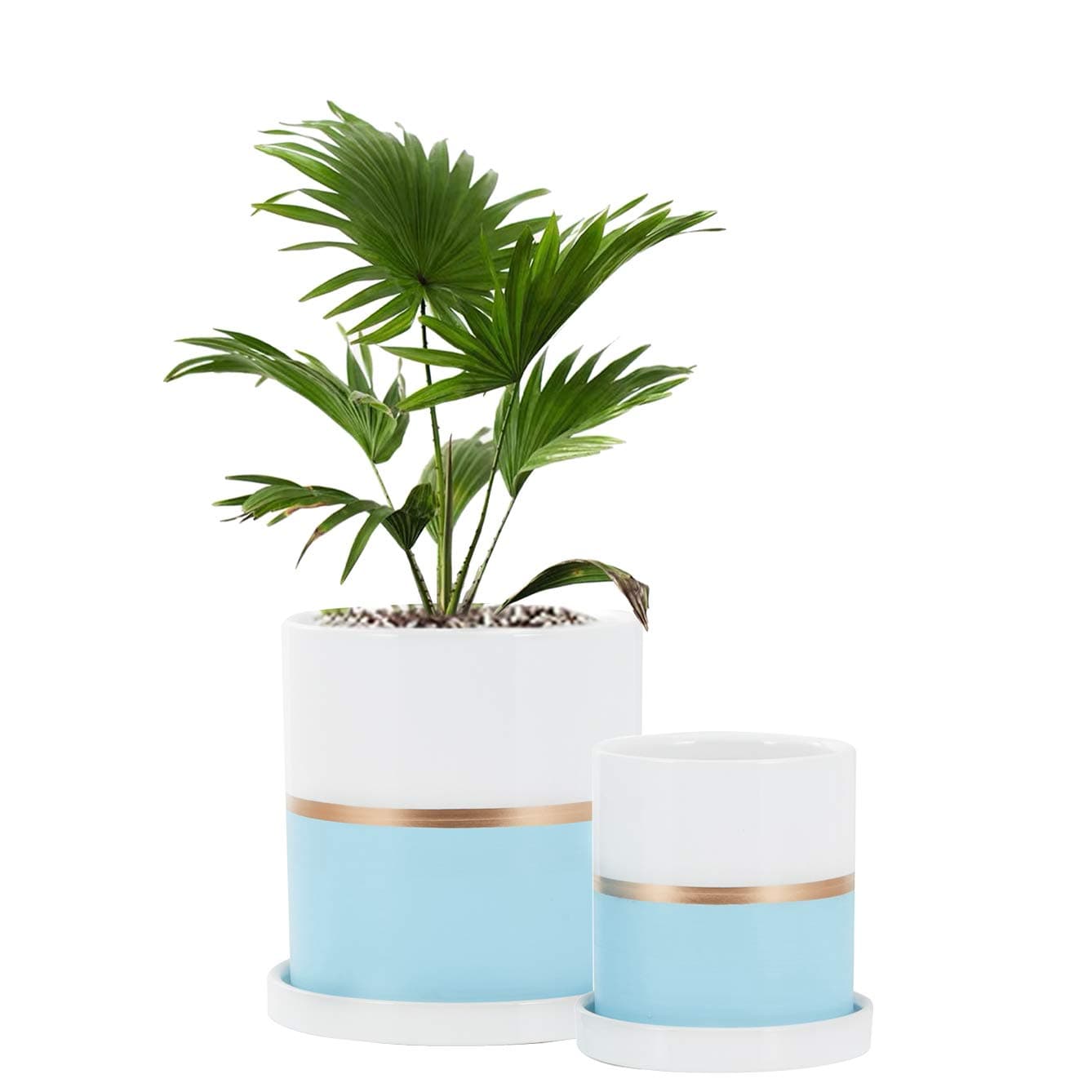 Fieren White Ceramic Flower Pot Garden Planters 6inch & 4inch Large Plant Indoor Pot Containers White Texture and Gold Detail Ceramic Garden Pot Tray for Indoor Planter White Planter Blue&White