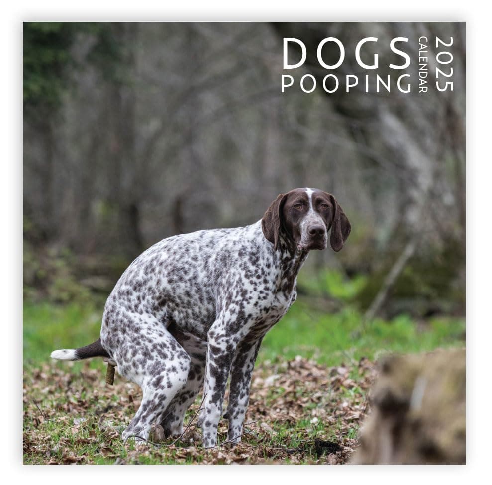 Dog Pooping Calendar 2025, 12 x 12 inch, Funny Gift, White Elephant, Gag Gift, Secret Santa