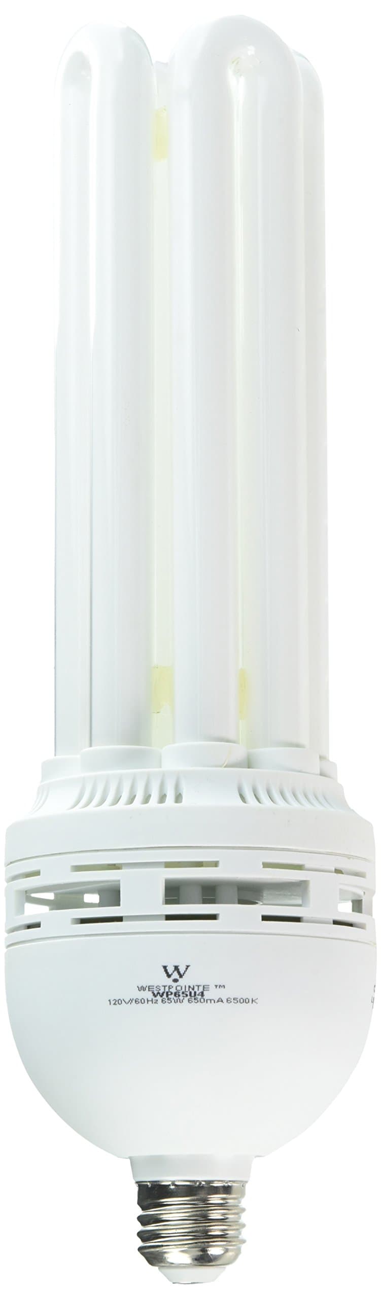 Westpointe 4U65DL1B 65W 4U Daylight Cfl Bulb Compact Fluorescent Photo Bulb Photography